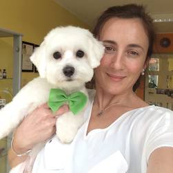 Hundesalon Ziborich - Büchen und Umgebung Hundesalon Ziborich - Büchen und Umgebung