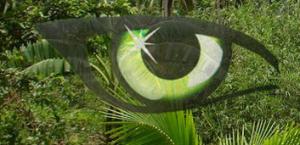 Spice-Nice Spice-Nice